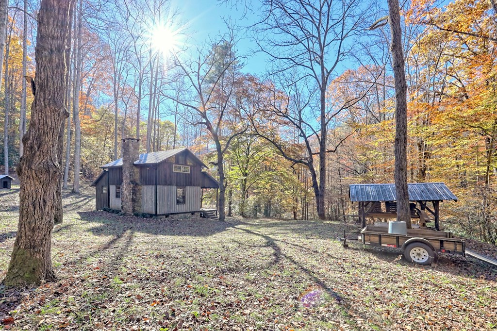 1307 Clear Creek Road Hayesville, NC 28904 - Photo 51 of 65 a view of a house with backyard and trees