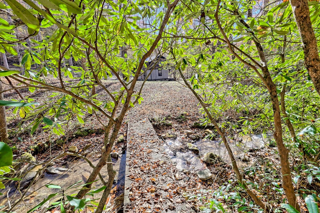 1307 Clear Creek Road Hayesville, NC 28904 - Photo 54 of 65