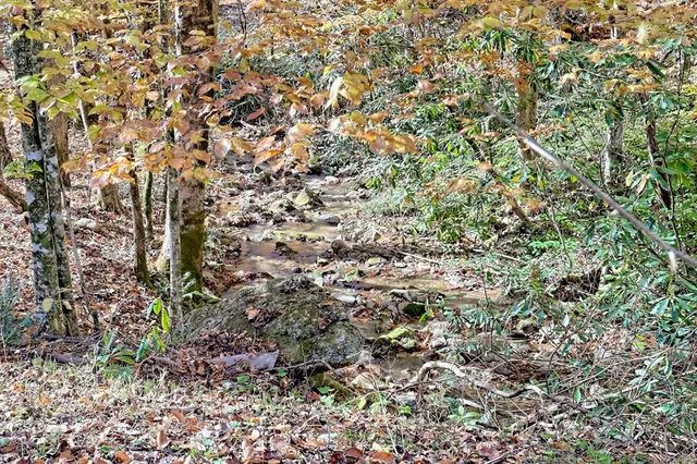 $745,000 | 1307 Clear Creek Road, Hayesville, NC 28904