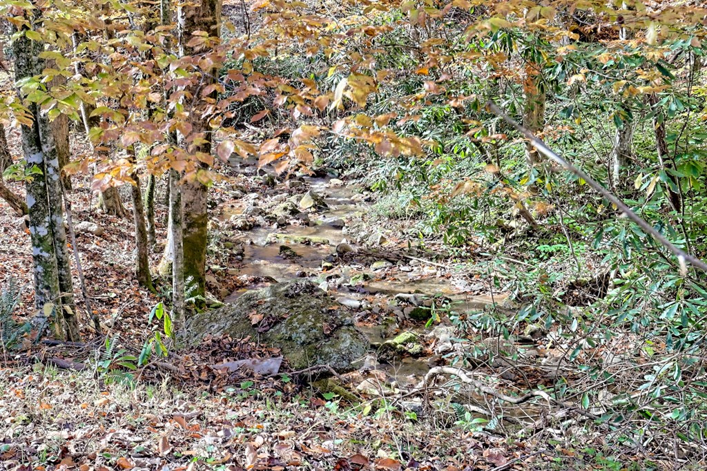 1307 Clear Creek Road Hayesville, NC 28904 - Photo 55 of 65