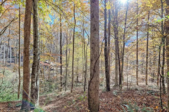 $745,000 | 1307 Clear Creek Road, Hayesville, NC 28904