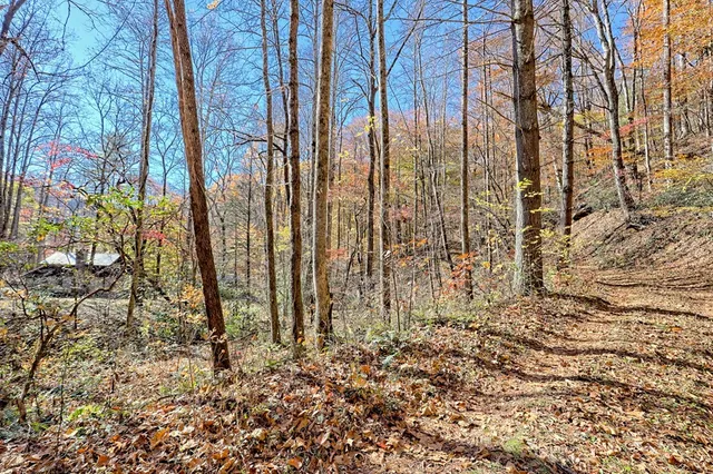 $745,000 | 1307 Clear Creek Road, Hayesville, NC 28904