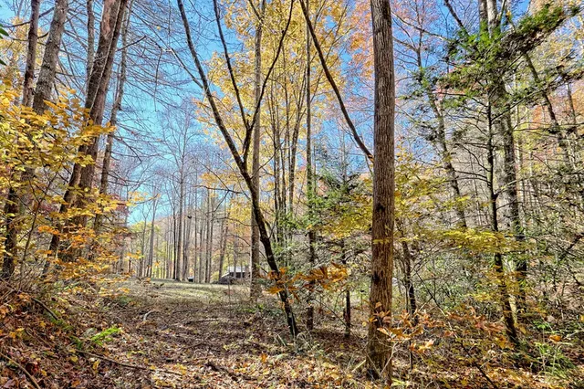 $745,000 | 1307 Clear Creek Road, Hayesville, NC 28904