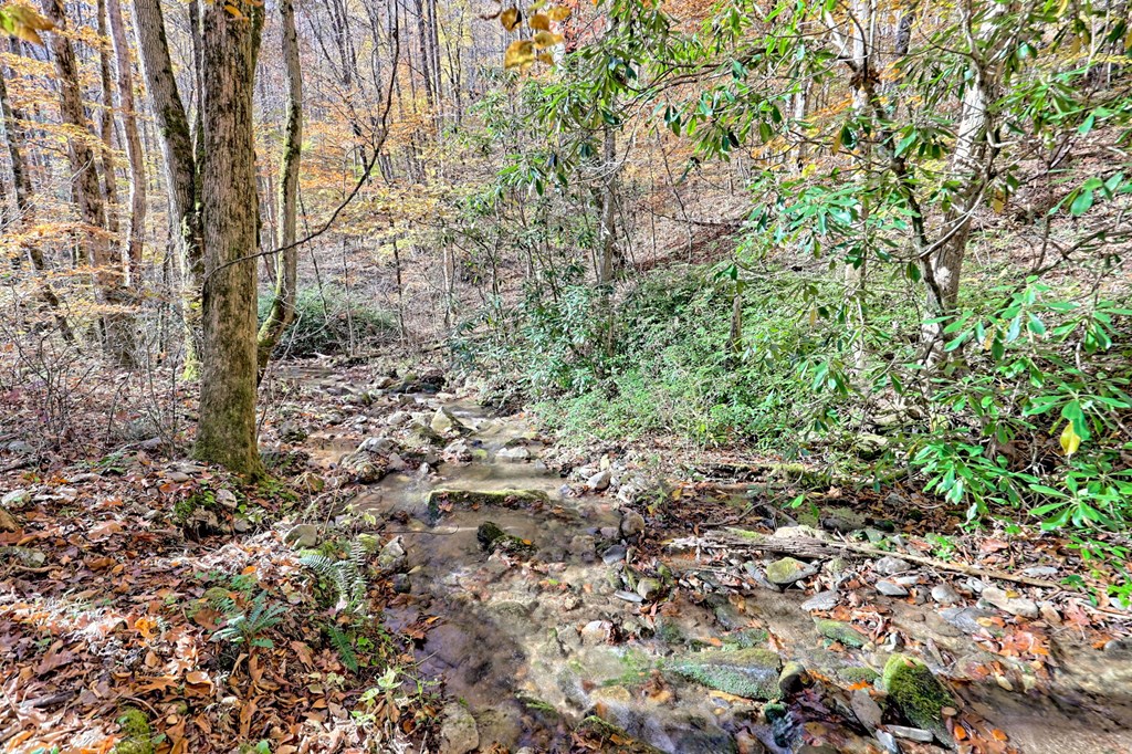 1307 Clear Creek Road Hayesville, NC 28904 - Photo 6 of 65