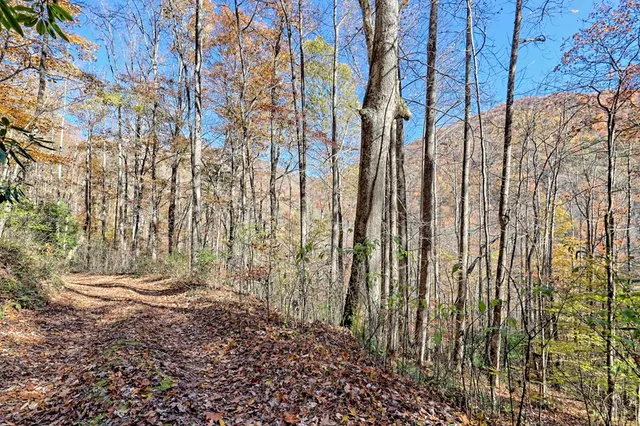 $745,000 | 1307 Clear Creek Road, Hayesville, NC 28904