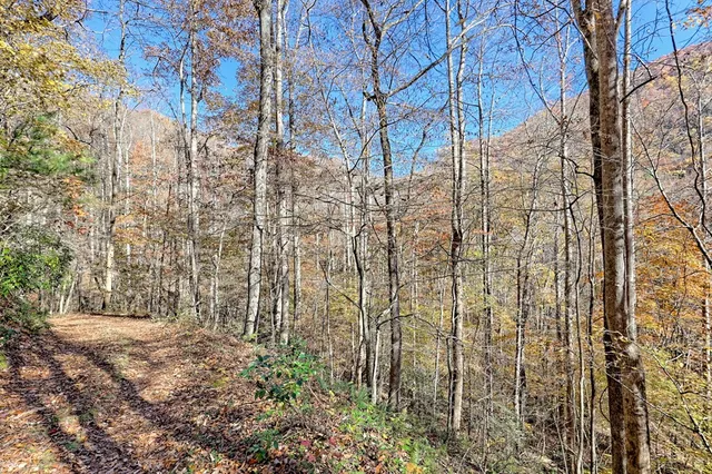 $745,000 | 1307 Clear Creek Road, Hayesville, NC 28904