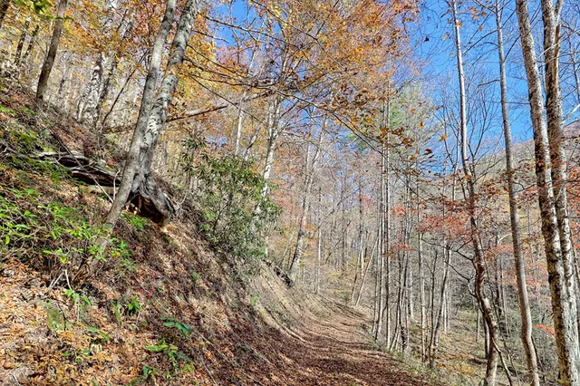 $745,000 | 1307 Clear Creek Road, Hayesville, NC 28904