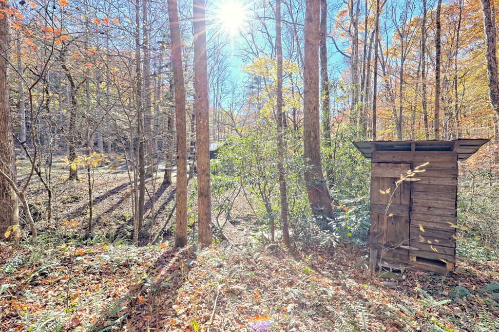 1307 Clear Creek Road Hayesville, NC 28904 - Photo 10 of 65