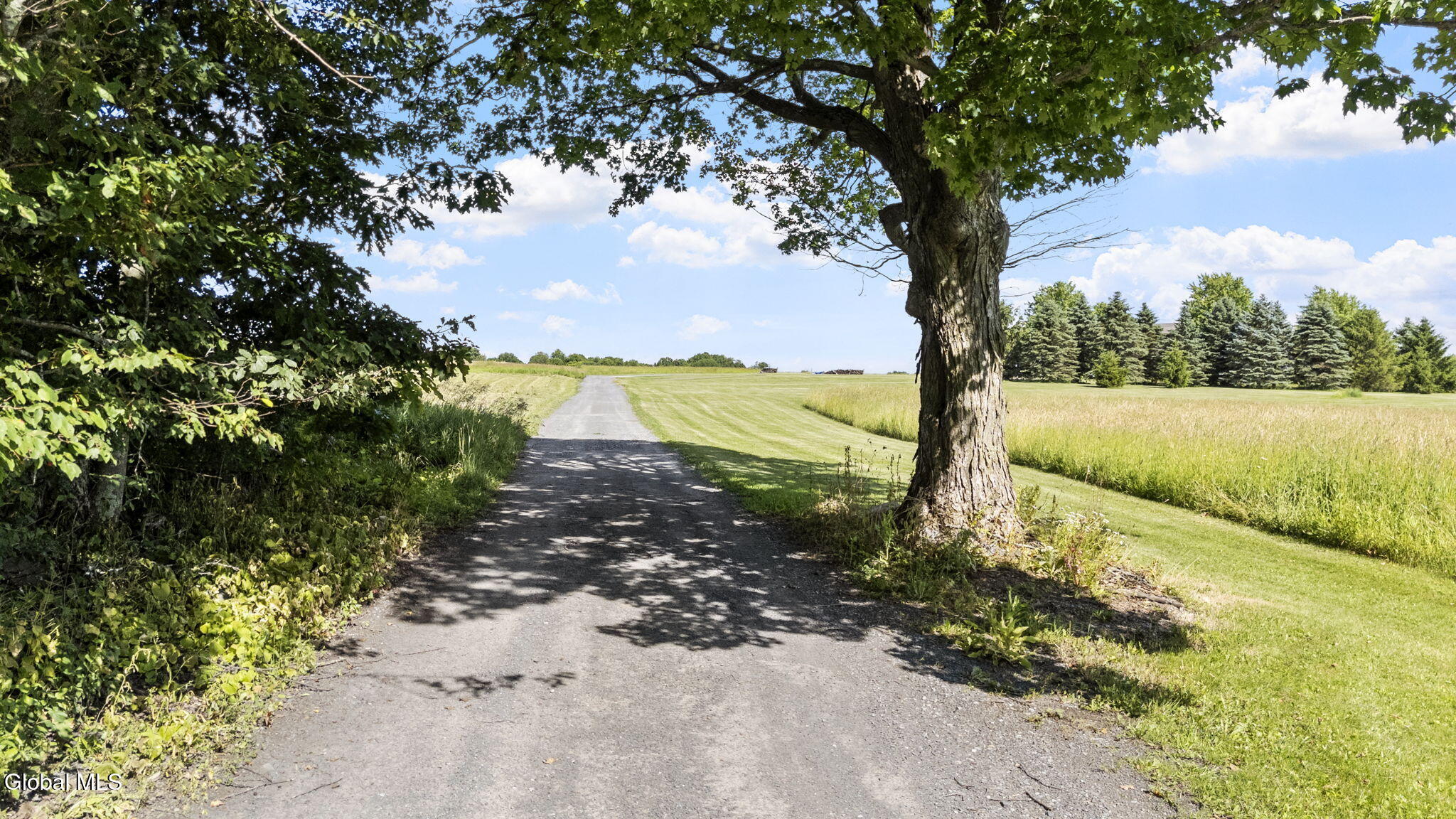 1338 Barton Hill Road Wright, NY 12053 - Photo 69 of 77 71-web-or-mls-1338-barton-hill-rd