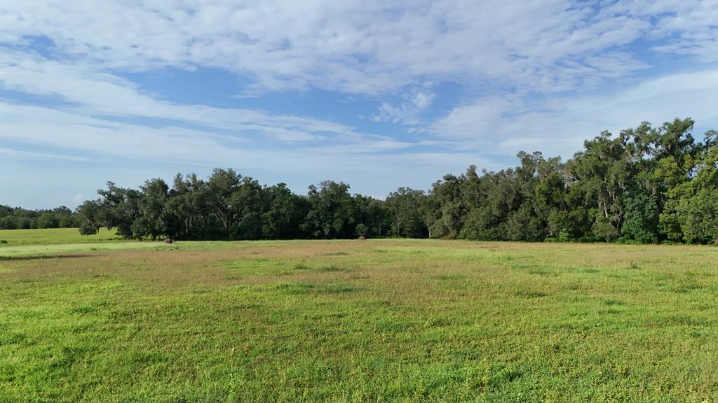 Vacant 145th Road Live Oak, FL 32060 - Photo 31 of 42