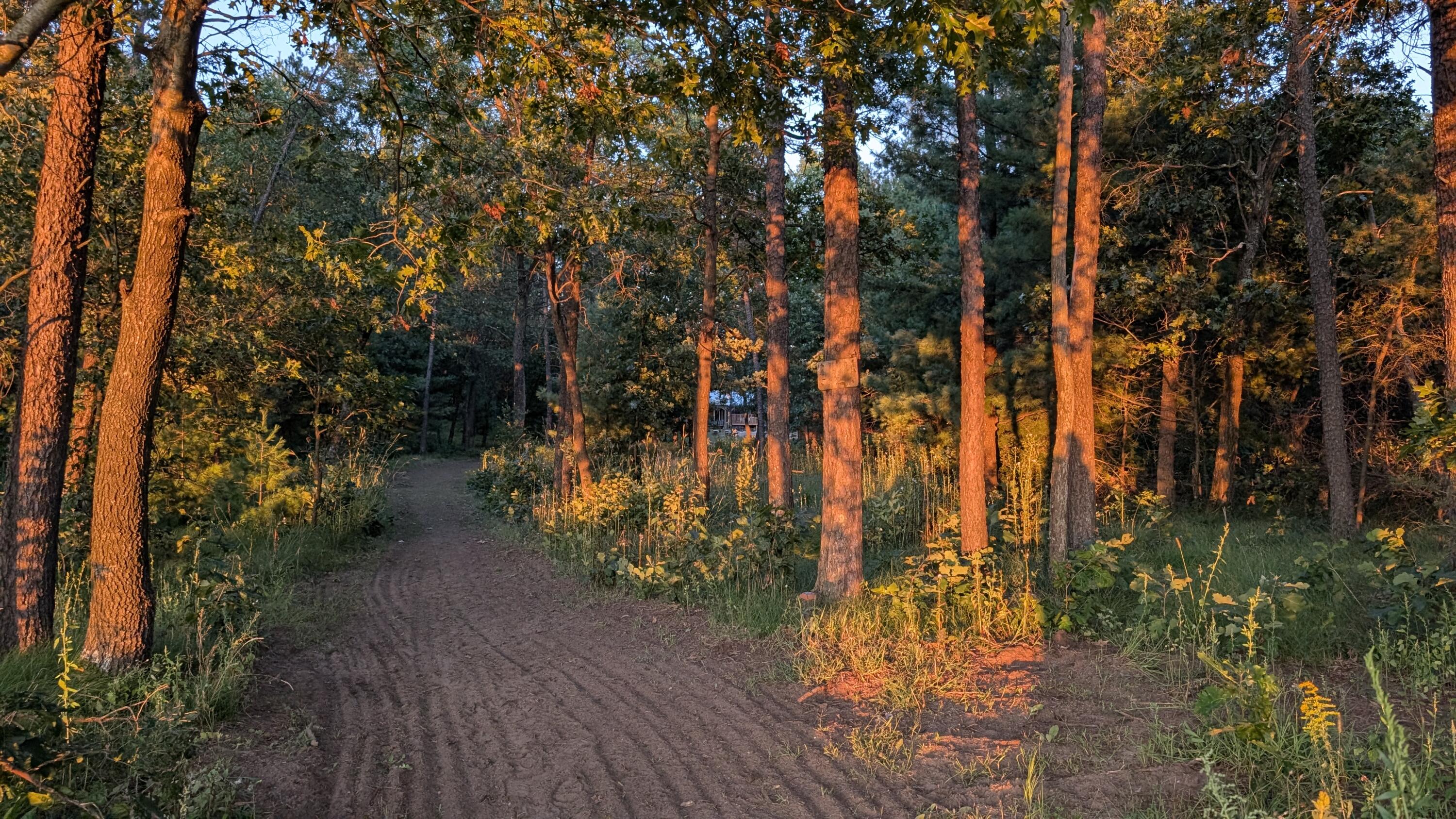 1269 State Road 13 Arkdale, WI 54613 - Photo 39 of 58 PXL_20250907_001652436.RAW-01.COVER