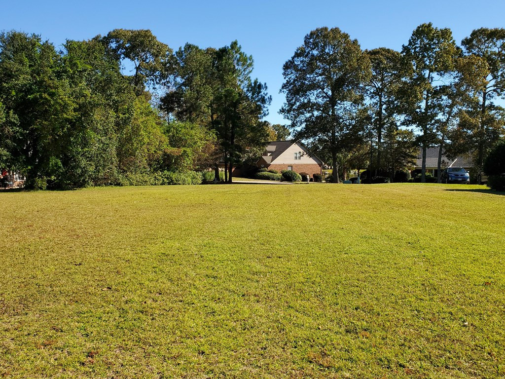 2 Ridge Lake Drive, Unit LOT 29 Manning, SC 29102 - Photo 5 of 25 Gallery Image 5