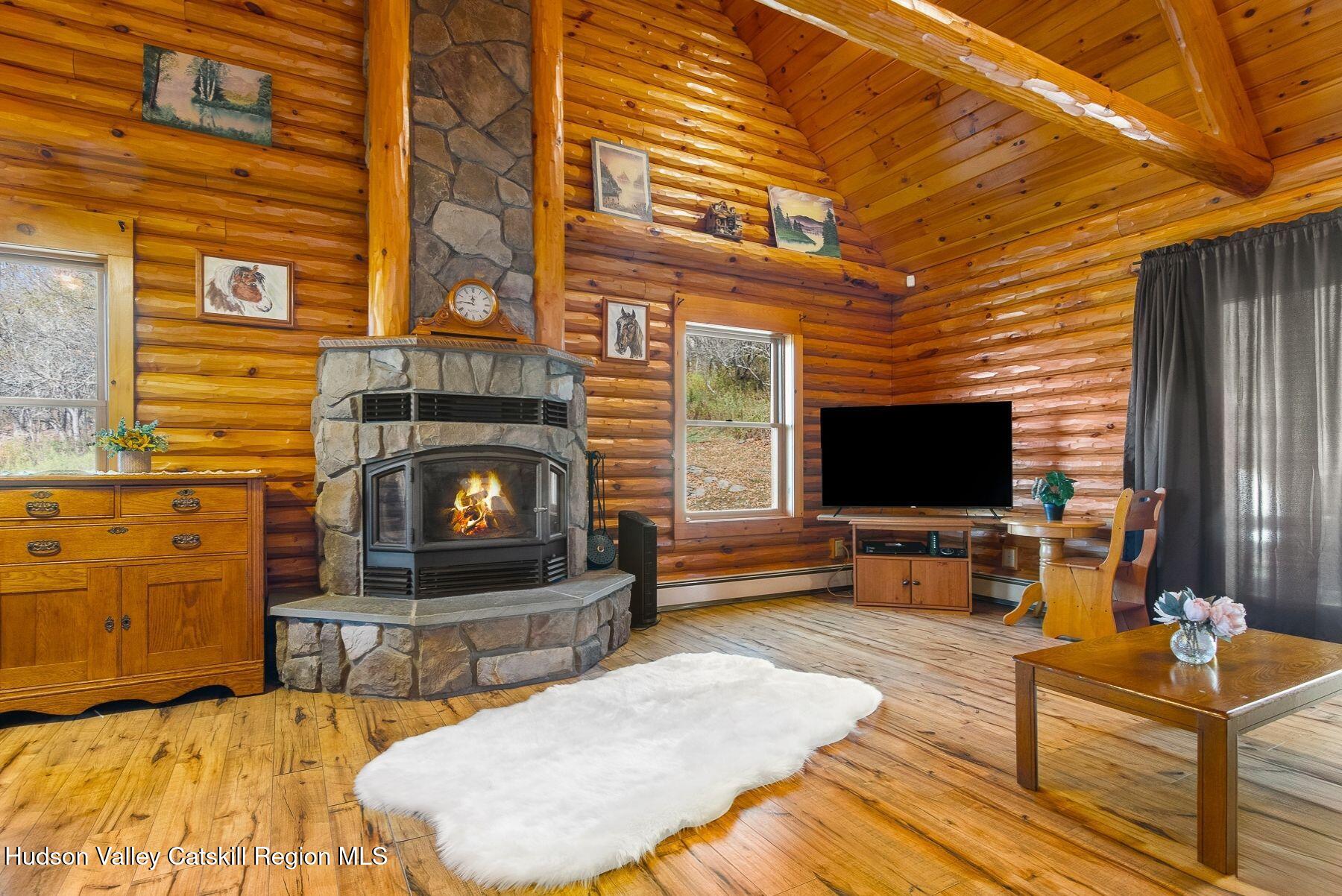 281 Turk Hollow Road Fleischmanns, NY 12430 - Photo 5 of 30 a living room with fireplace furniture and a flat screen tv