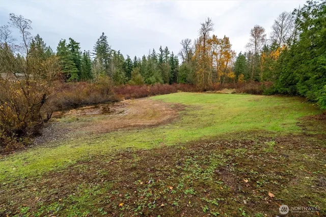 a view of a yard with trees in the background