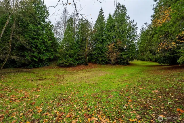 a view of an ocean from a yard