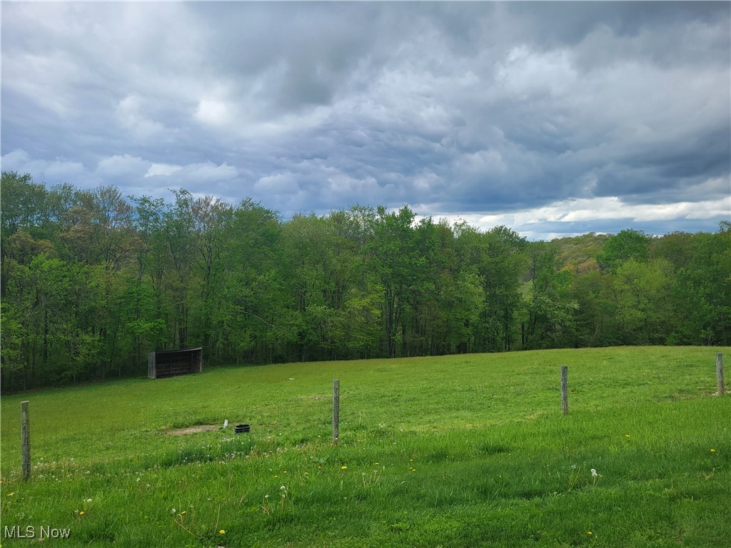 87038 Keyser Road Cadiz, OH 43907 - Photo 31 of 50 fenced pasture and shed