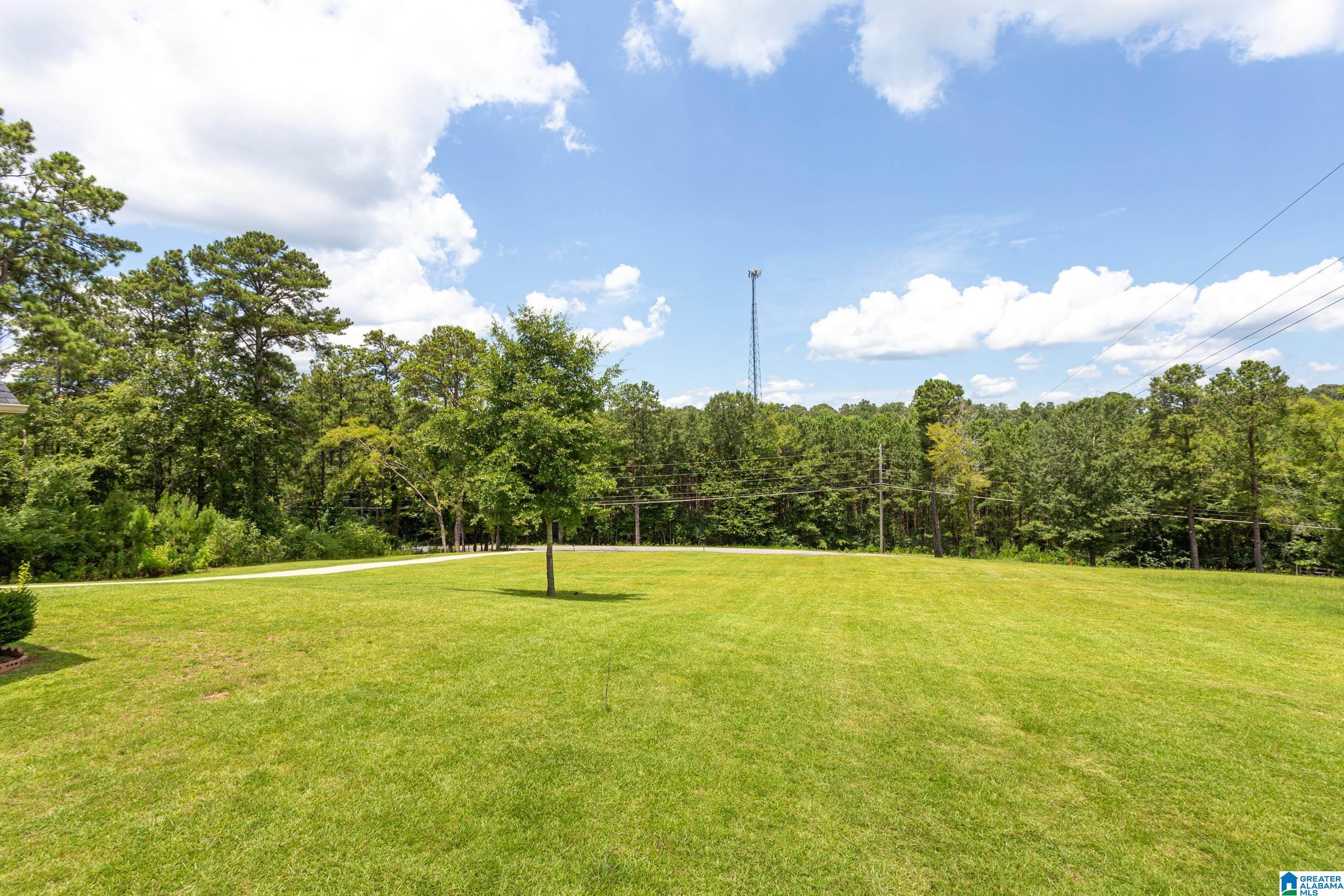 1115 Eureka Road Lincoln, AL 35096 - Photo 36 of 41