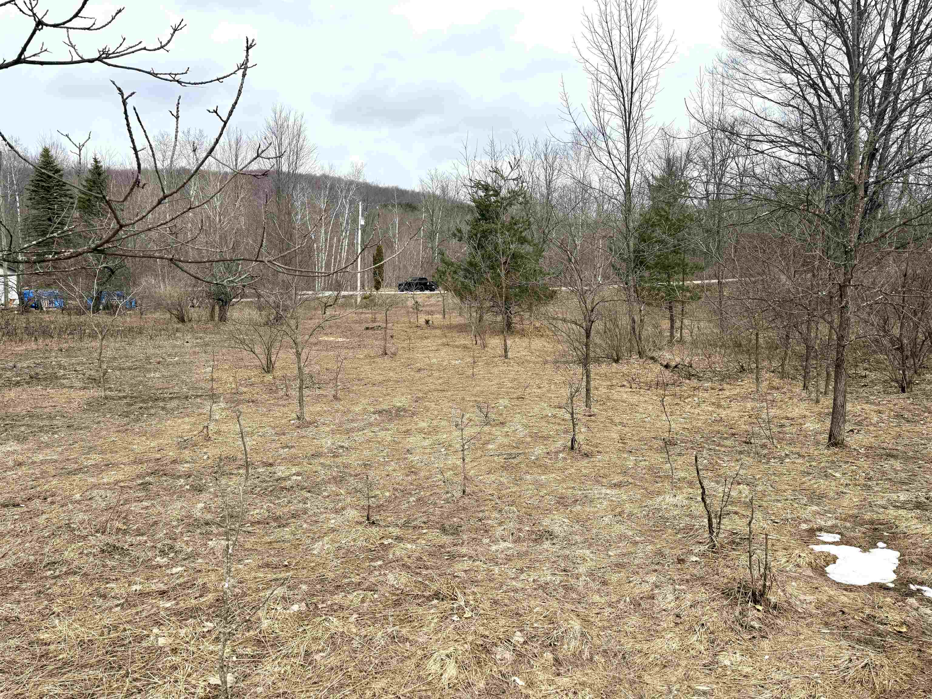 0 East Darga Road Cedar, MI 49621 - Photo 11 of 23