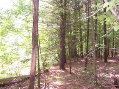 Kickland Road, Unit PAR 1 Greenville, MI 48838 - Photo 4 of 4 Additional Photo