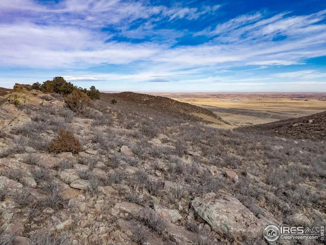 a view of a dry yard with mountains in the background