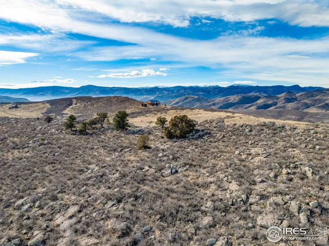 a close up of a plant