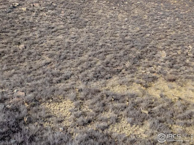 $595,000 | 7805 Arapahoe Valley Road, Laporte, CO 80535