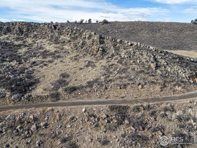 a view of a dry forest with mountains in the background