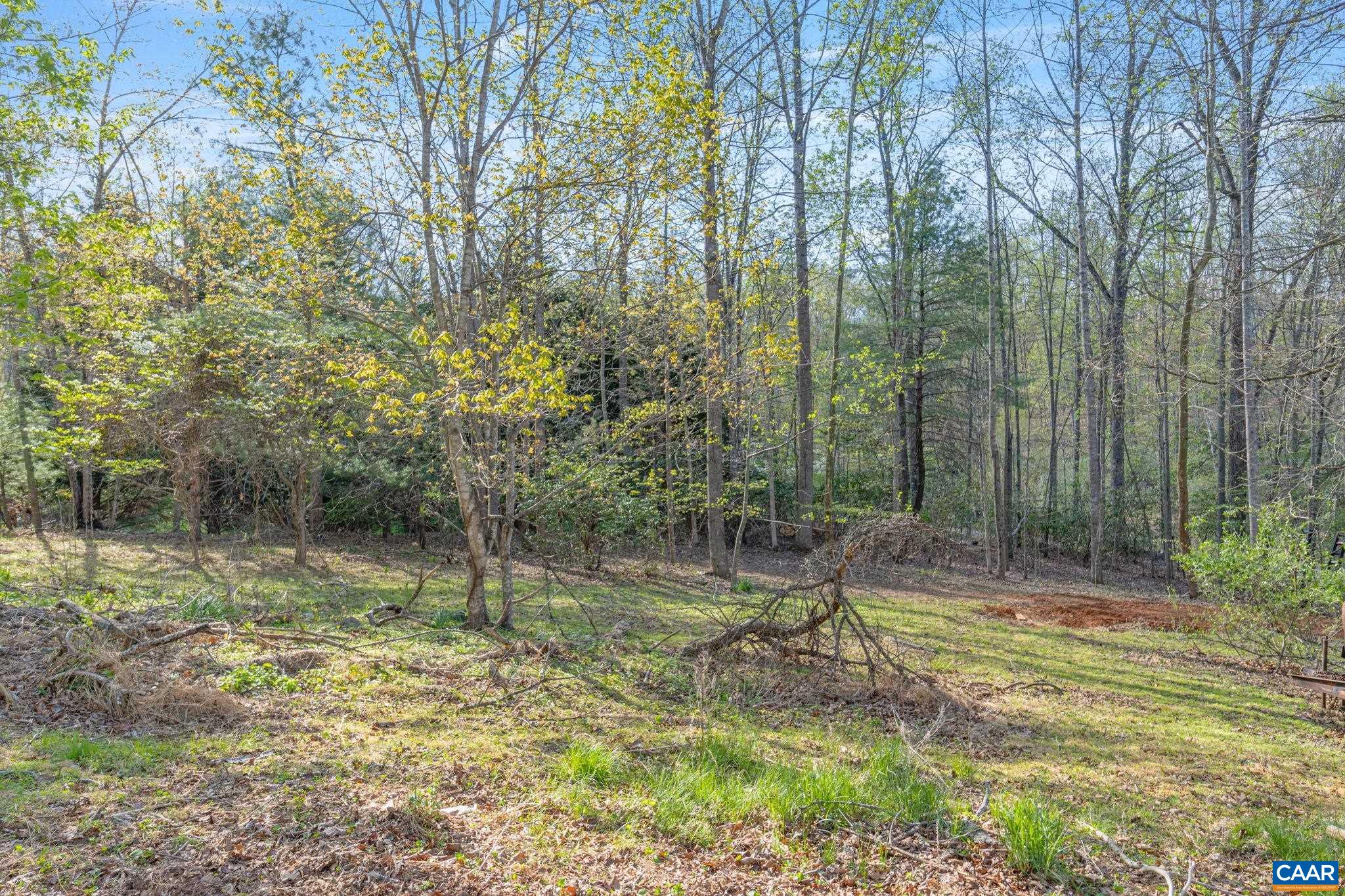 1665 Miller School Road Charlottesville, VA 22903 - Photo 20 of 25 Gallery Image 20