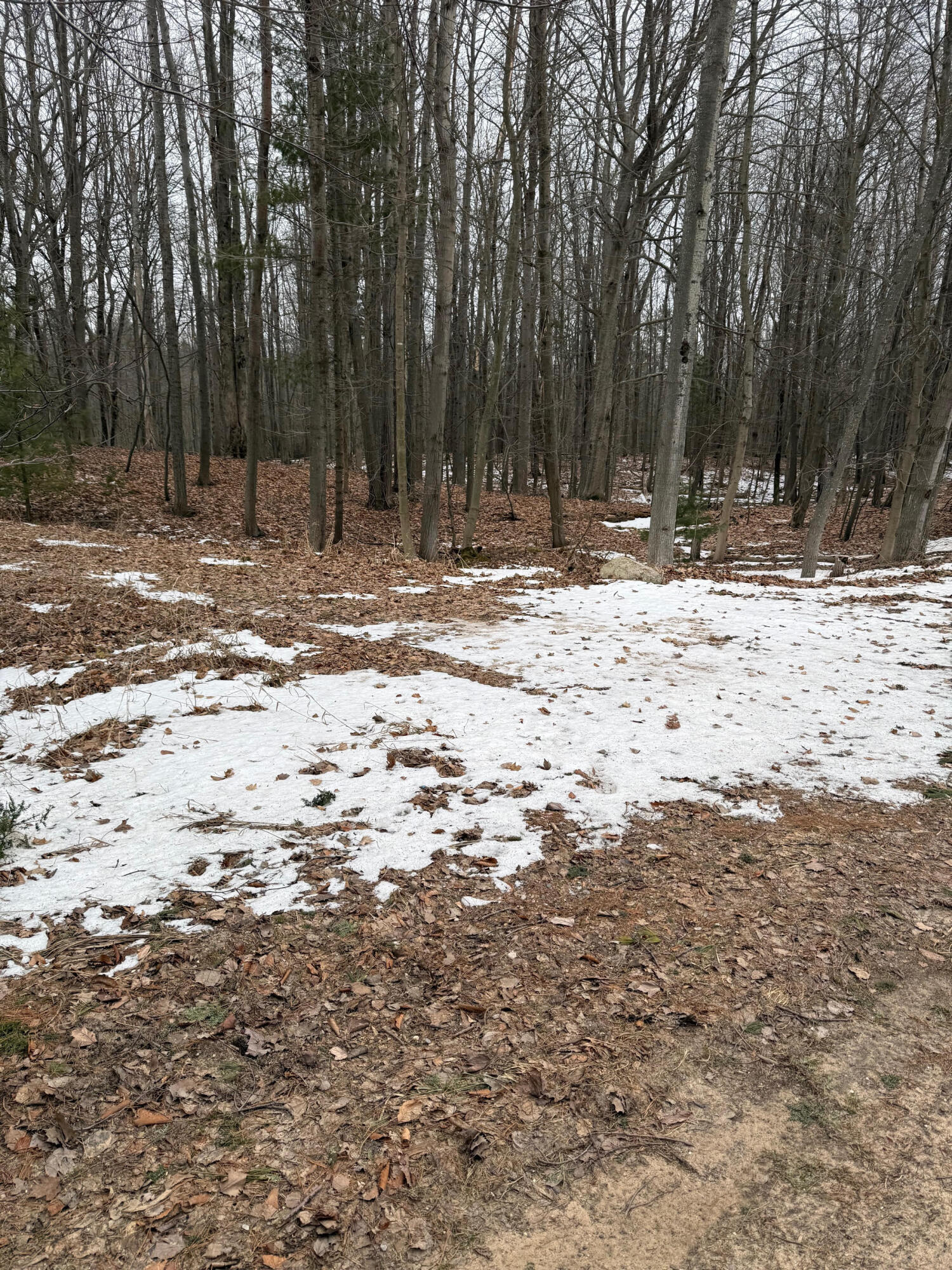 West Fox Farm Road Manistee, MI 49660 - Photo 3 of 12 Rolling woods
