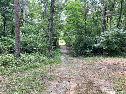 1500 Capeway Road Powhatan, VA 23139 - Photo 42 of 43 Gallery Image 42