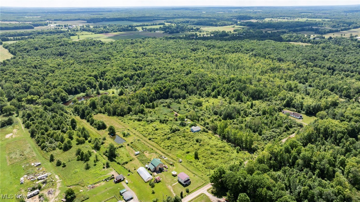 876 Clay Road Jefferson, OH 44047 - Photo 12 of 18 Drone / aerial view of a forest