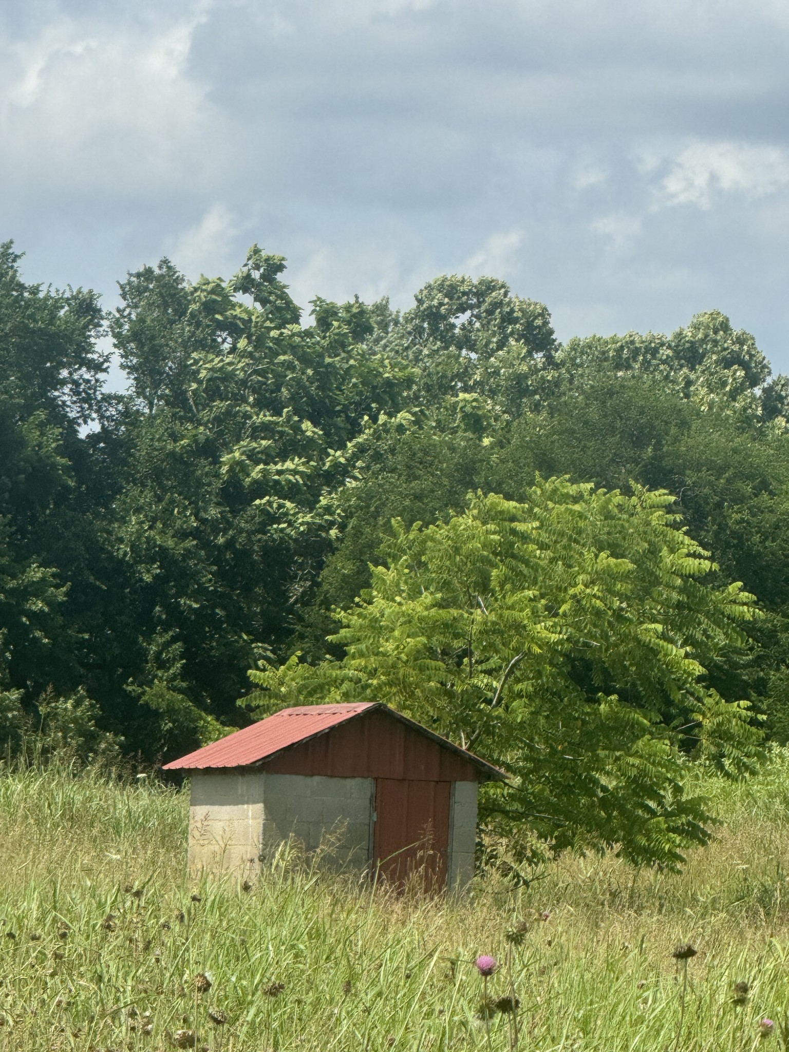210 Wheel Road Shelbyville, TN 37160 - Photo 4 of 19
