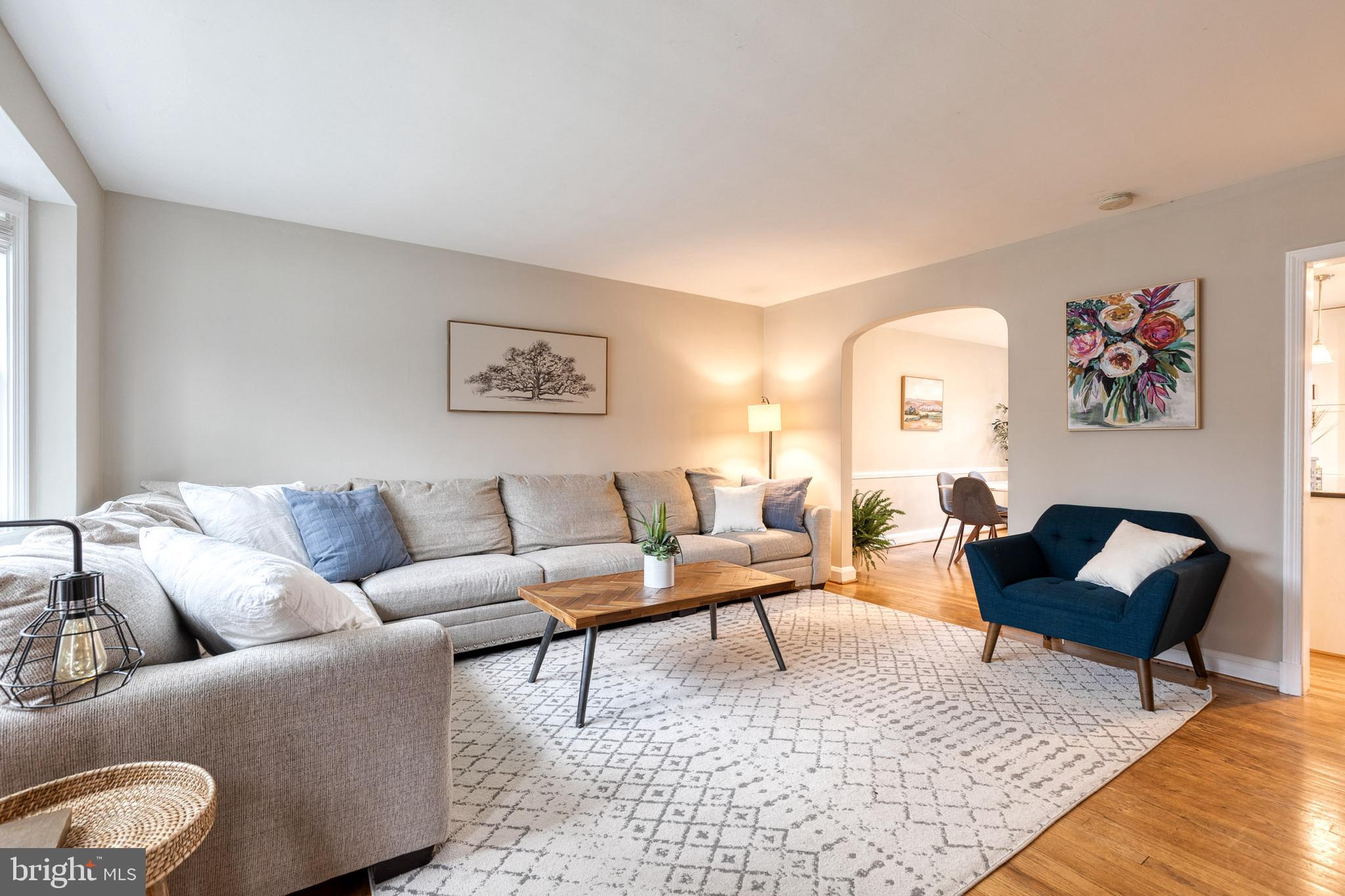 31 Regester Avenue Baltimore, MD 21212 - Photo 5 of 38 a living room with furniture and a rug
