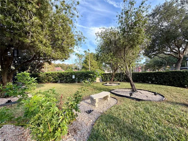 a swimming pool with lots of tress in the background