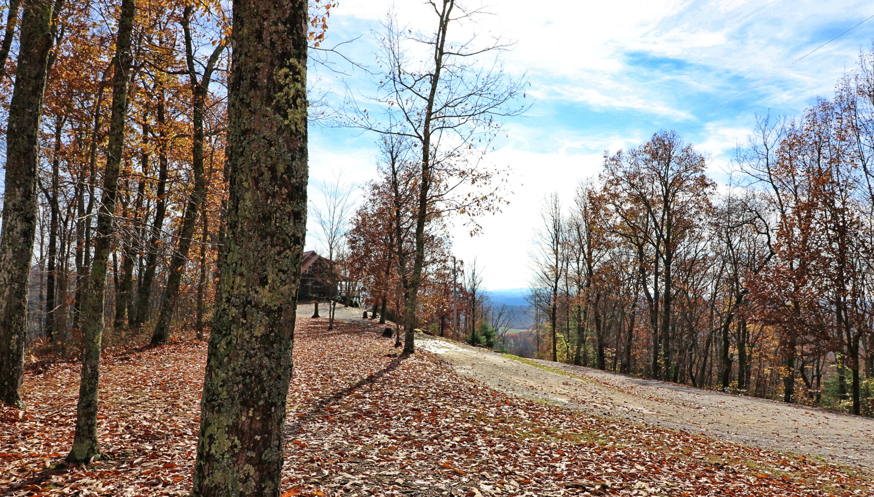 Shug Mnt Road Oneida, TN 37841 - Photo 2 of 34 094A7847