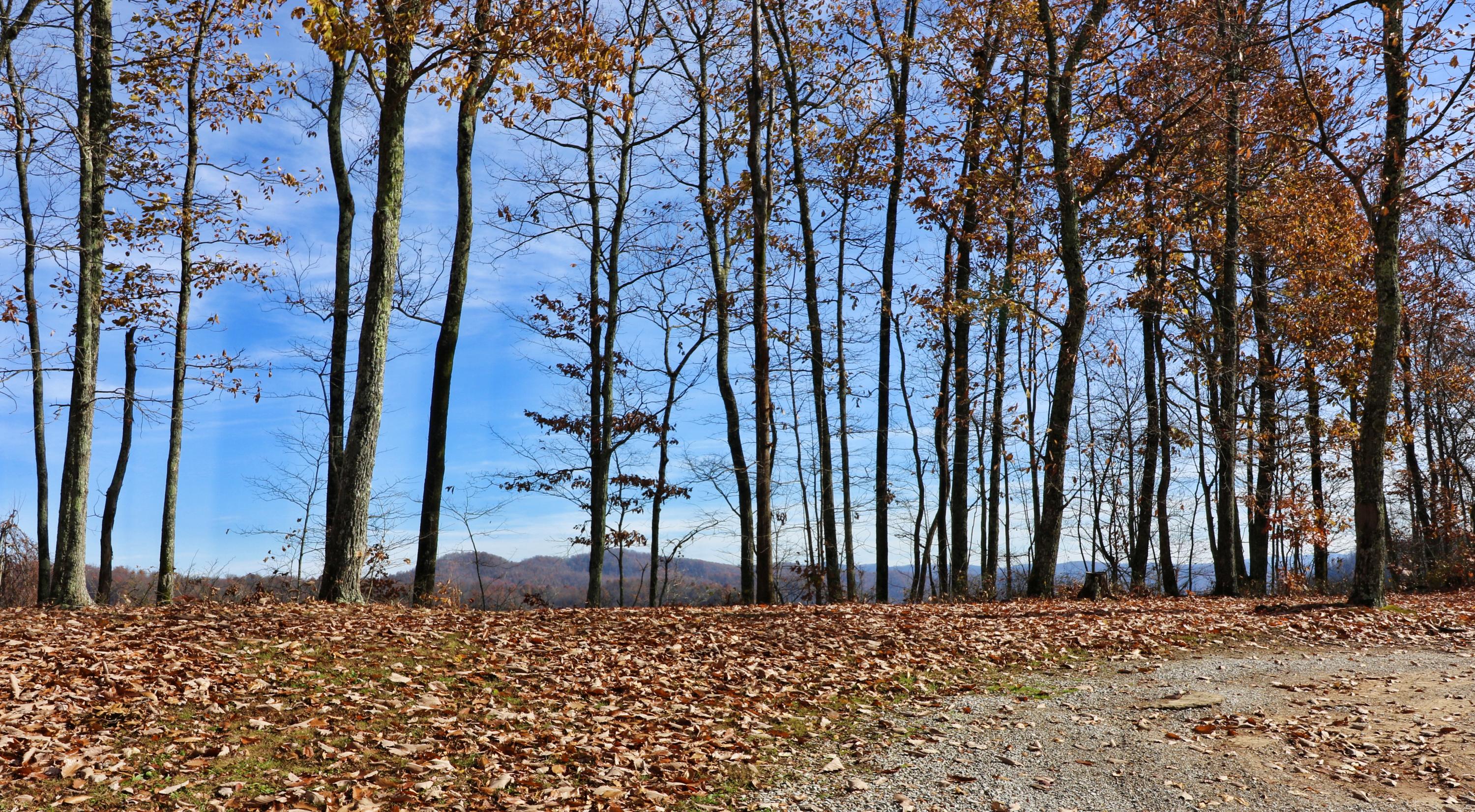 Shug Mnt Road Oneida, TN 37841 - Photo 20 of 34 094A7848