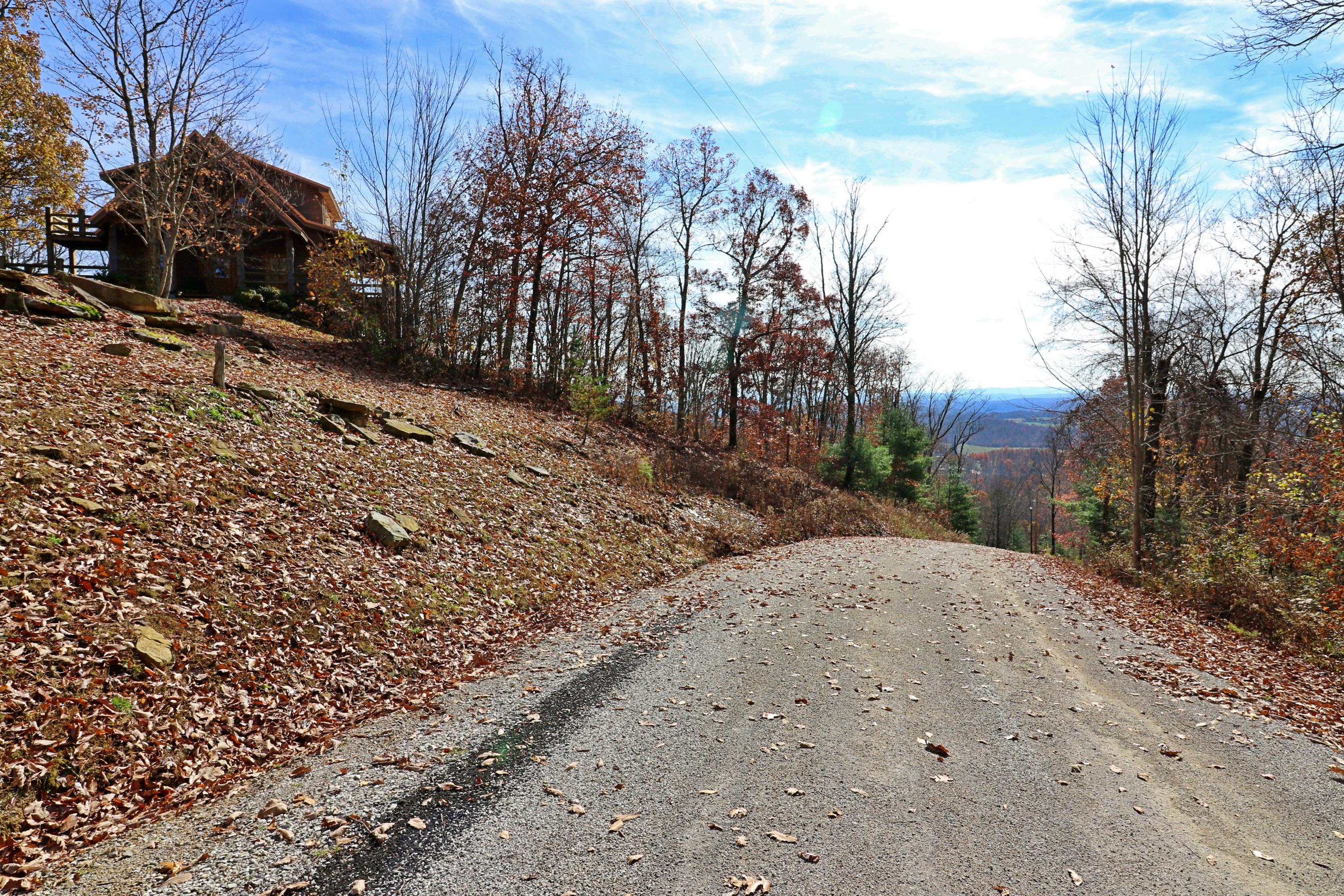 Shug Mnt Road Oneida, TN 37841 - Photo 3 of 34 094A7849