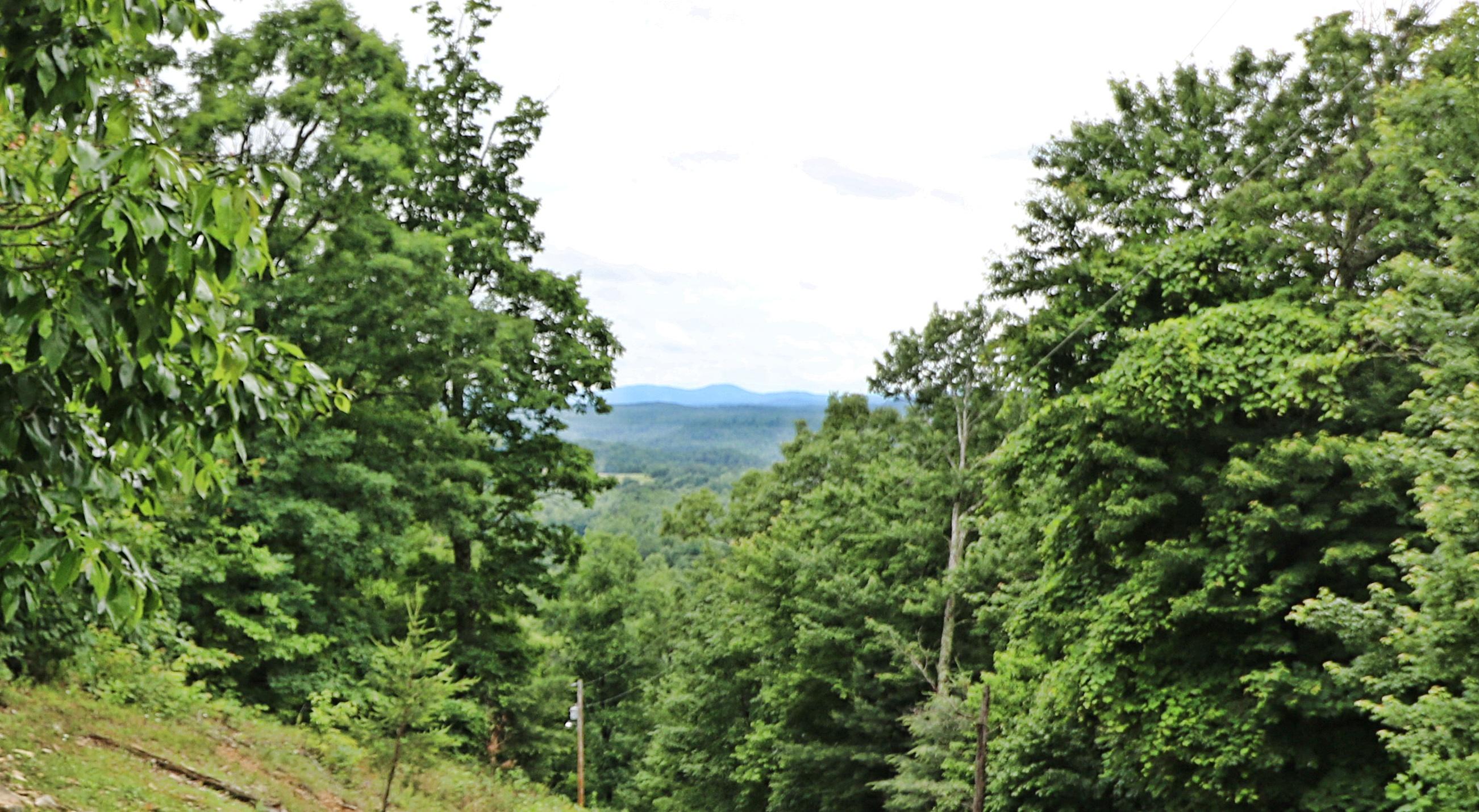 Shug Mnt Road Oneida, TN 37841 - Photo 4 of 34 094A5624