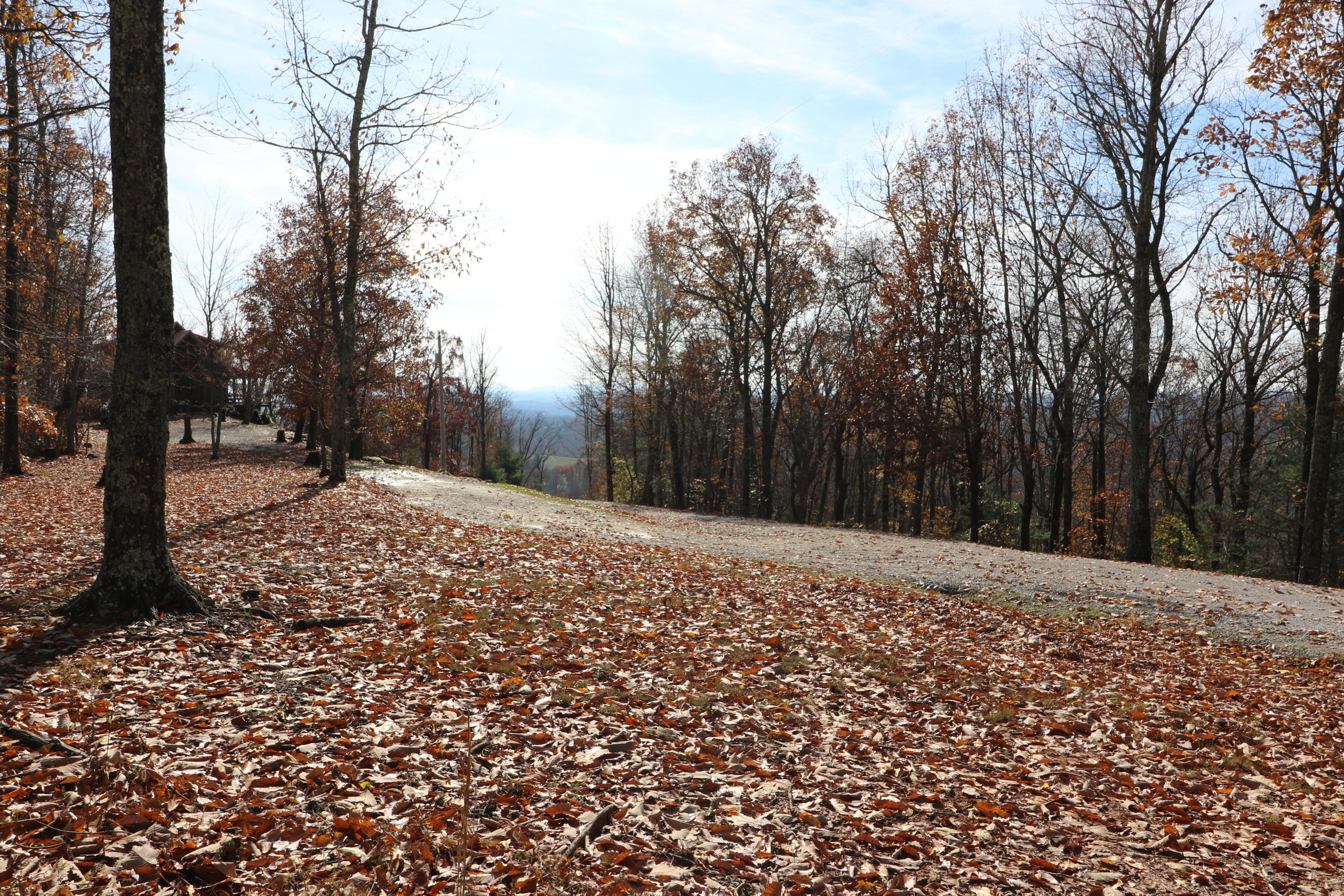 Shug Mnt Road Oneida, TN 37841 - Photo 33 of 34 094A7846