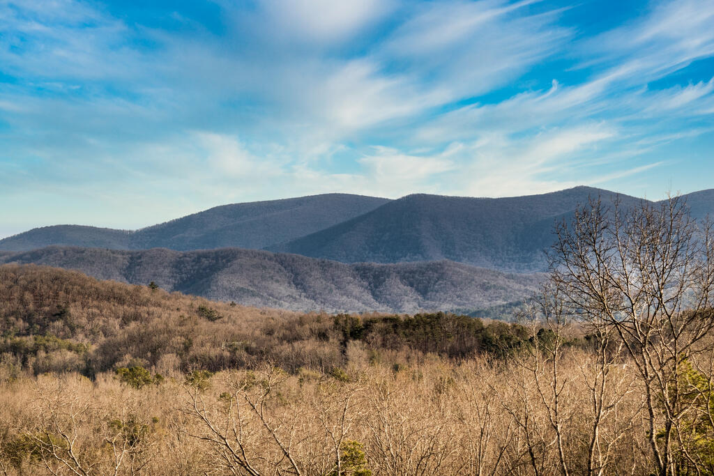 49 Chestnut Overlook Blue Ridge Blue Ridge, GA 30513 - Photo 15 of 57 Gallery Image 15