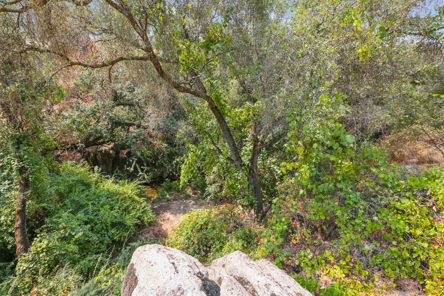 35548 Hummingbird Lane Squaw Valley, CA 93675 - Photo 16 of 18