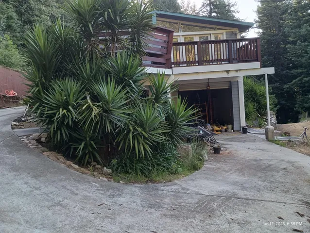 a backyard of a house with potted plants and palm trees