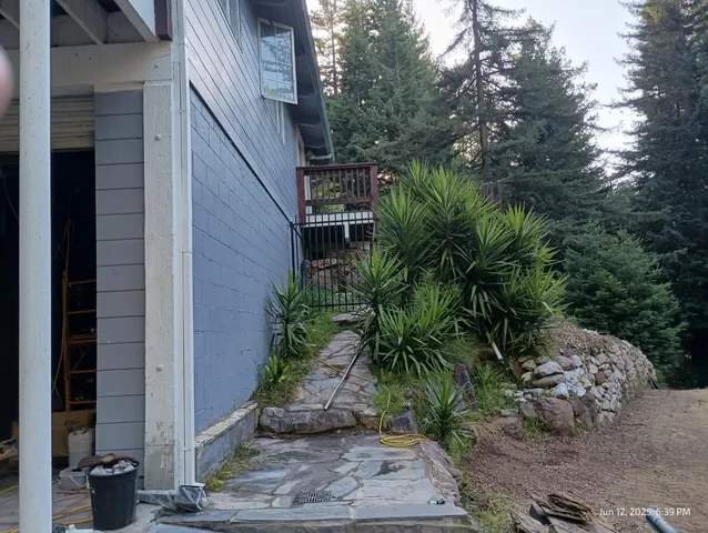 a view of backyard with plants and trees