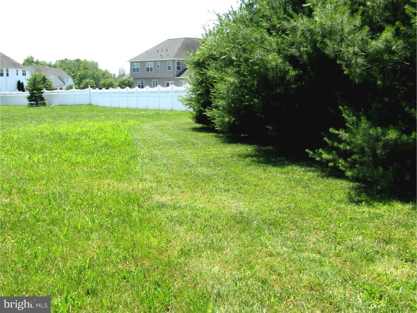712 Farmhouse Road Mickleton, NJ 08056 - Photo 18 of 22 Back Yard