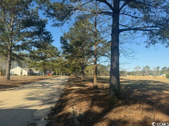 Lot B Lexyryan Court Latta, SC 29565 - Photo 11 of 12