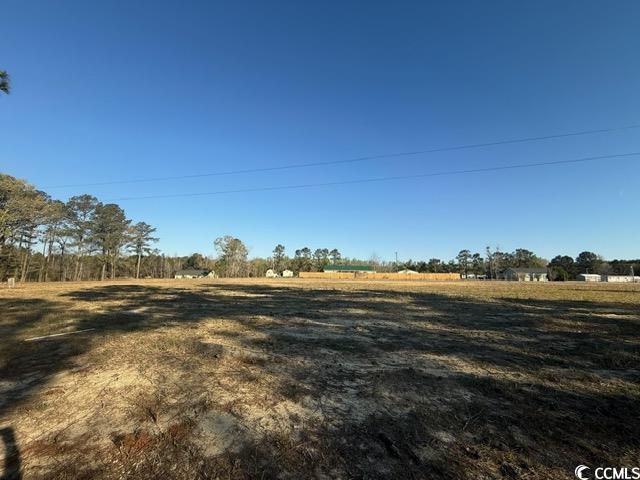 Lot B Lexyryan Court Latta, SC 29565 - Photo 2 of 12