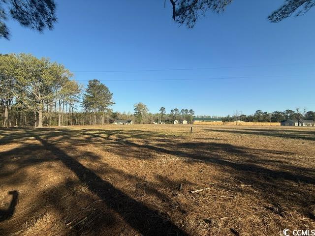 Lot B Lexyryan Court Latta, SC 29565 - Photo 3 of 12