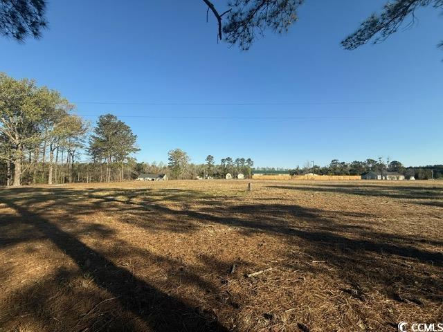 Lot B Lexyryan Court Latta, SC 29565 - Photo 4 of 12