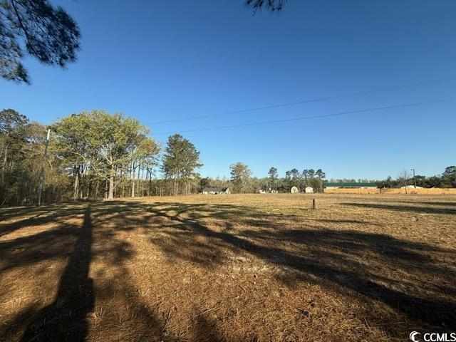 Lot B Lexyryan Court Latta, SC 29565 - Photo 5 of 12