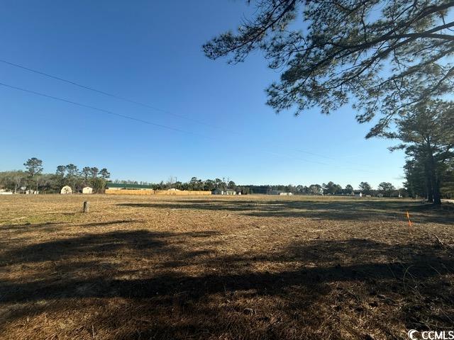 Lot B Lexyryan Court Latta, SC 29565 - Photo 6 of 12